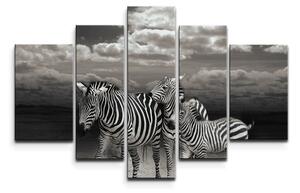 Sablio Obraz - 5-dílný Zebry u vody: 125x90 cm