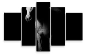 Sablio Obraz - 5-dílný Kůň ve stínu - 125x90 cm