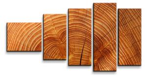 Sablio Obraz - 5-dílný Dřevo 2 - 100x60 cm