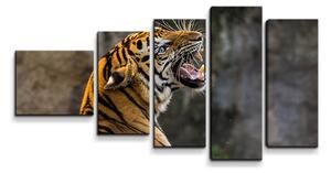 Sablio Obraz - 5-dílný Řvoucí tygr - 100x60 cm
