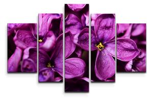Sablio Obraz - 5-dílný Fialové květy - 125x90 cm