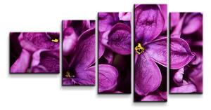 Sablio Obraz - 5-dílný Fialové květy - 100x60 cm