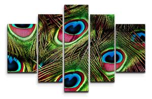 Sablio Obraz - 5-dílný Paví peří - 125x90 cm