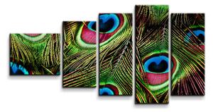 Sablio Obraz - 5-dílný Paví peří - 100x60 cm