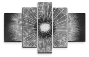 Sablio Obraz - 5-dílný Černobílá pampeliška - 125x90 cm