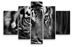 Sablio Obraz - 5-dílný Černobílý tygr - 125x90 cm