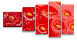 Sablio Obraz - 5-dílný Detail jahody - 100x60 cm