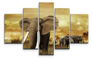 Sablio Obraz - 5-dílný Slon Africký - 125x90 cm