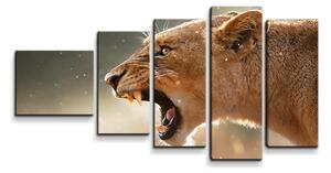 Sablio Obraz - 5-dílný Rozzuřená lvice - 100x60 cm