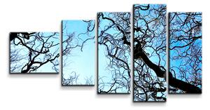 Sablio Obraz - 5-dílný Holé větve - 100x60 cm