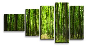 Sablio Obraz - 5-dílný Cesta v lese - 100x60 cm