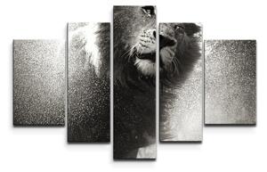 Sablio Obraz - 5-dílný Mokrý lev - 125x90 cm
