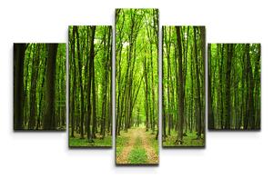 Sablio Obraz - 5-dílný Cesta v lese - 125x90 cm