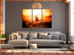 Obraz Paroh ve slunci (3-dílný) - osamělý jelen na malebném poli