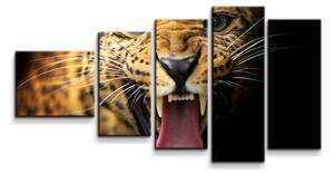Sablio Obraz - 5-dílný Gepard 2 - 100x60 cm