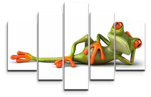 Sablio Obraz - 5-dílný Ležící žába - 125x90 cm