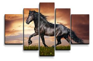 Sablio Obraz - 5-dílný Friský kůň - 125x90 cm