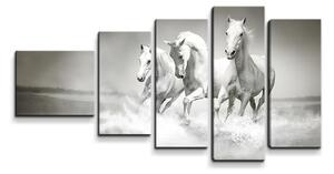 Sablio Obraz - 5-dílný Bílí koně - 100x60 cm