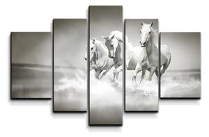 Sablio Obraz - 5-dílný Bílí koně - 125x90 cm