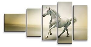 Sablio Obraz - 5-dílný Bílý kůň 2 - 100x60 cm