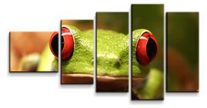 Sablio Obraz - 5-dílný Zelená žába - 100x60 cm