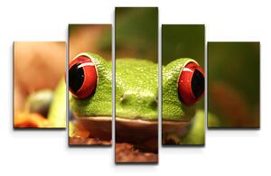 Sablio Obraz - 5-dílný Zelená žába - 125x90 cm