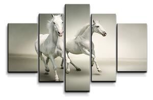 Sablio Obraz - 5-dílný Dva bílí koně - 125x90 cm