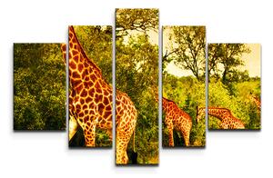 Sablio Obraz - 5-dílný Žirafy - 125x90 cm