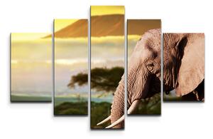 Sablio Obraz - 5-dílný Slon z profilu - 125x90 cm
