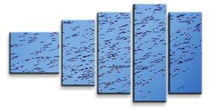 Sablio Obraz - 5-dílný Hejno ptáků - 100x60 cm