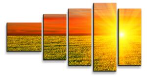 Sablio Obraz - 5-dílný Západ slunce nad loukou - 100x60 cm