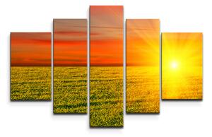 Sablio Obraz - 5-dílný Západ slunce nad loukou - 125x90 cm