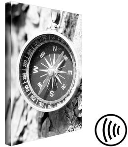 Obraz Směr cesty (1-dílný) - Černobílý kompas na pozadí stromu