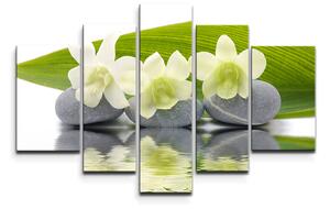Sablio Obraz - 5-dílný Bílá orchidej - 125x90 cm