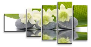 Sablio Obraz - 5-dílný Bílá orchidej - 100x60 cm