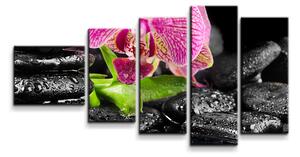 Sablio Obraz - 5-dílný Orchidej na kamenech - 100x60 cm