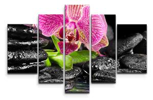 Sablio Obraz - 5-dílný Orchidej na kamenech - 125x90 cm