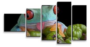 Sablio Obraz - 5-dílný Veselá žába - 100x60 cm