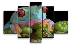 Sablio Obraz - 5-dílný Veselá žába - 125x90 cm