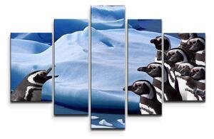 Sablio Obraz - 5-dílný Tučňáci - 125x90 cm