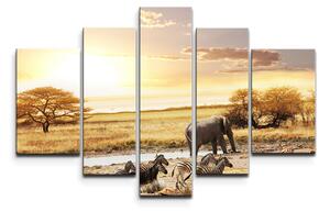 Sablio Obraz - 5-dílný Safari - 125x90 cm