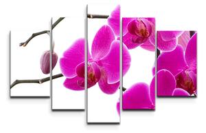 Sablio Obraz - 5-dílný Fialové orchideje - 125x90 cm