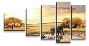 Sablio Obraz - 5-dílný Safari - 100x60 cm