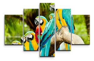 Sablio Obraz - 5-dílný Papoušci na větvi - 125x90 cm