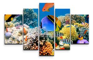 Sablio Obraz - 5-dílný Korálový útes - 125x90 cm