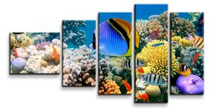 Sablio Obraz - 5-dílný Korálový útes - 100x60 cm