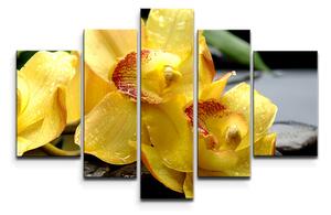 Sablio Obraz - 5-dílný Žluté orchideje - 125x90 cm