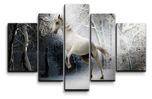 Sablio Obraz - 5-dílný Bílý kůň - 125x90 cm