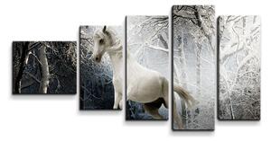 Sablio Obraz - 5-dílný Bílý kůň - 100x60 cm