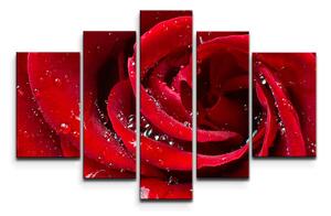 Sablio Obraz - 5-dílný Růže - 125x90 cm